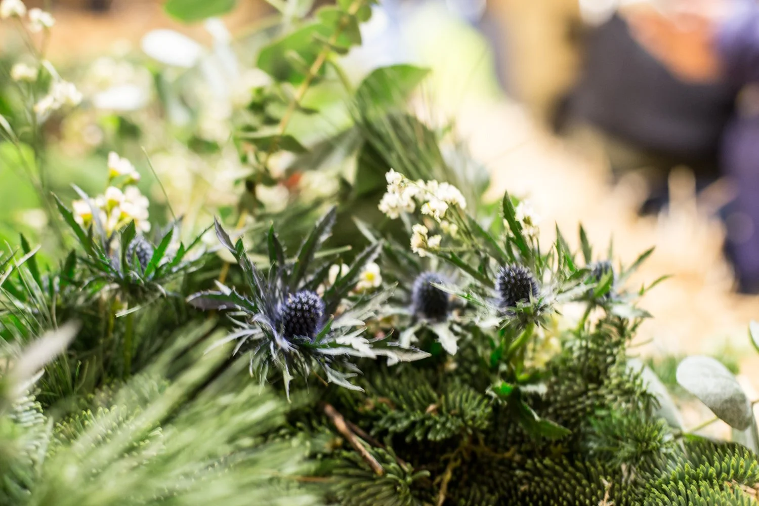 Close-up of various green plants and small white flowers in a natural outdoor setting.