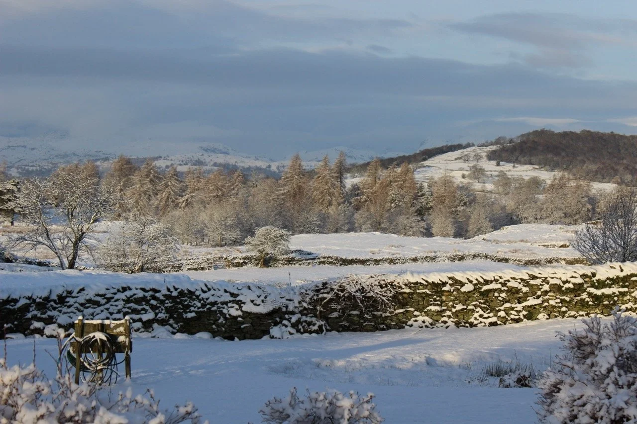 Snow-covered landscape with trees, a stone wall, and mountains in the background under a partly cloudy sky.