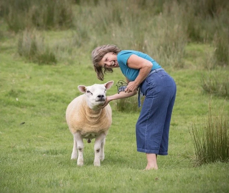 A woman with gray hair wearing a blue shirt and jeans bent forward, smiling and petting a sheep with a human-like face in a grassy field.