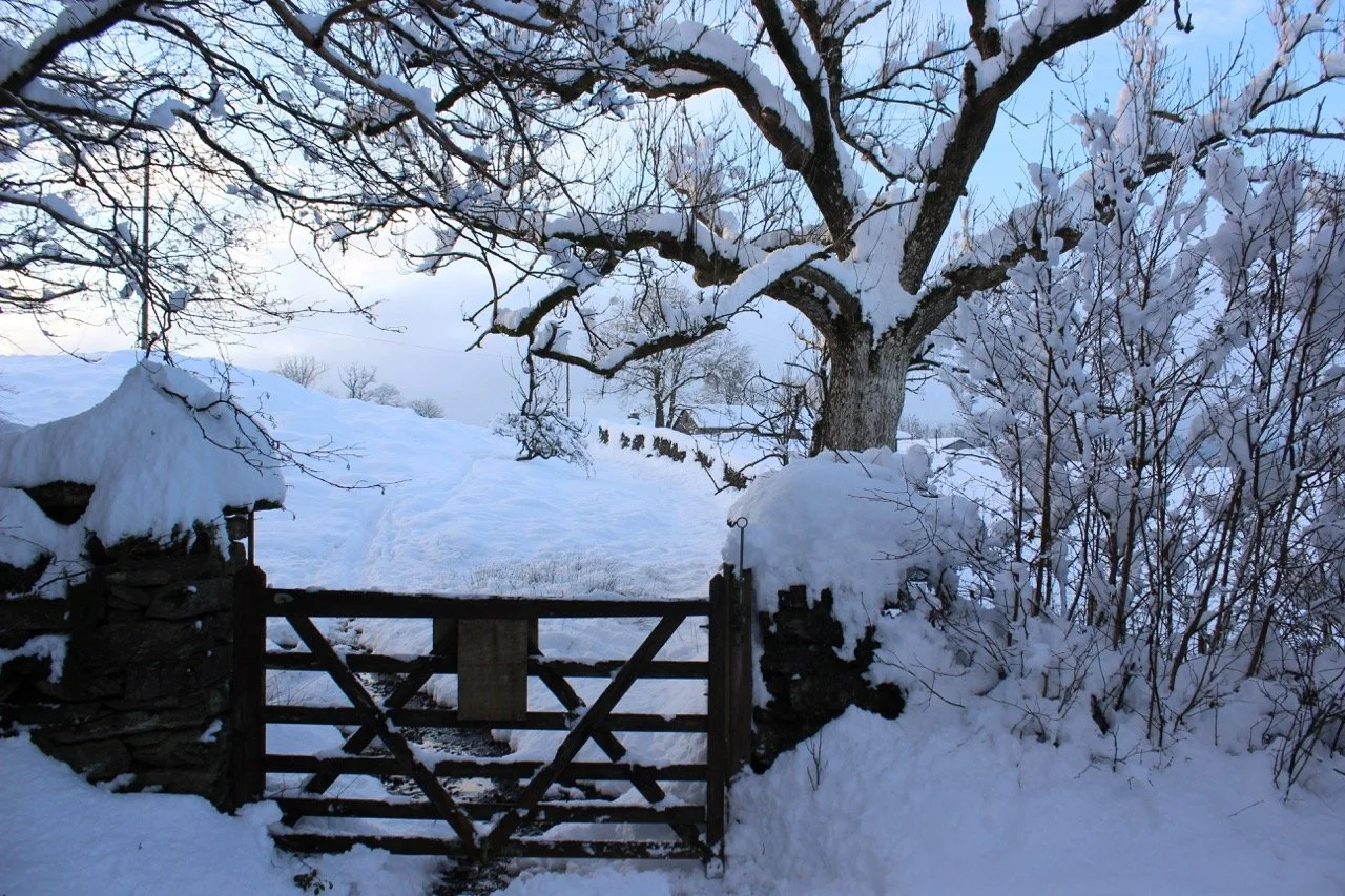 Snow-covered countryside scene with a wooden gate, large snow-laden tree, and snow-covered bushes under a light blue sky.