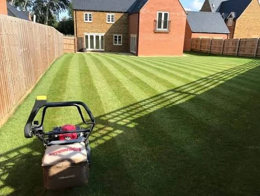 Natural lawn being maintained by Team Bespoke