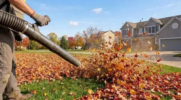 Seasonal garden maintenance and leaf clearing