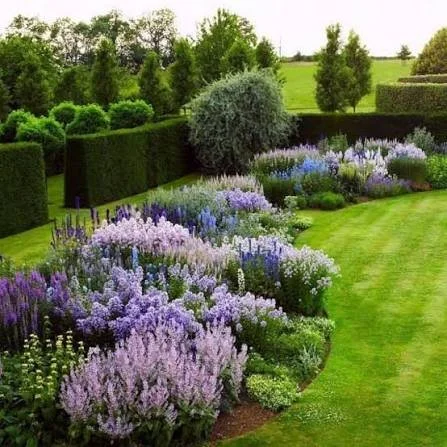 Established garden planting scheme