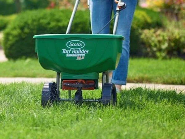 Natural lawn cared for by Team Bespoke