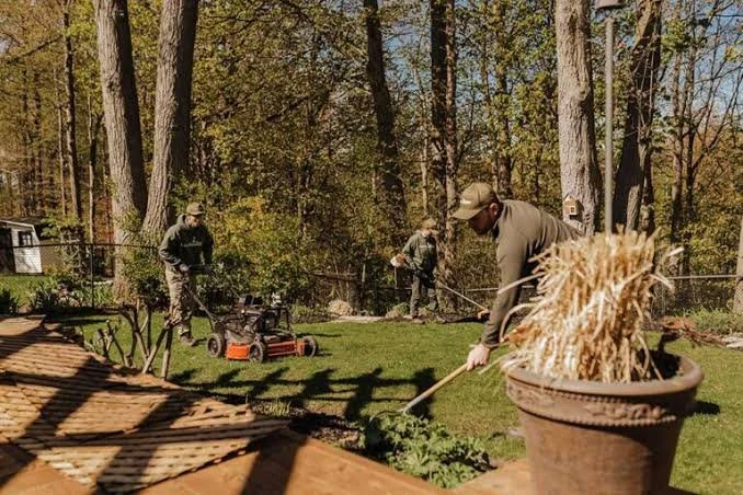 One-off garden tidy-up