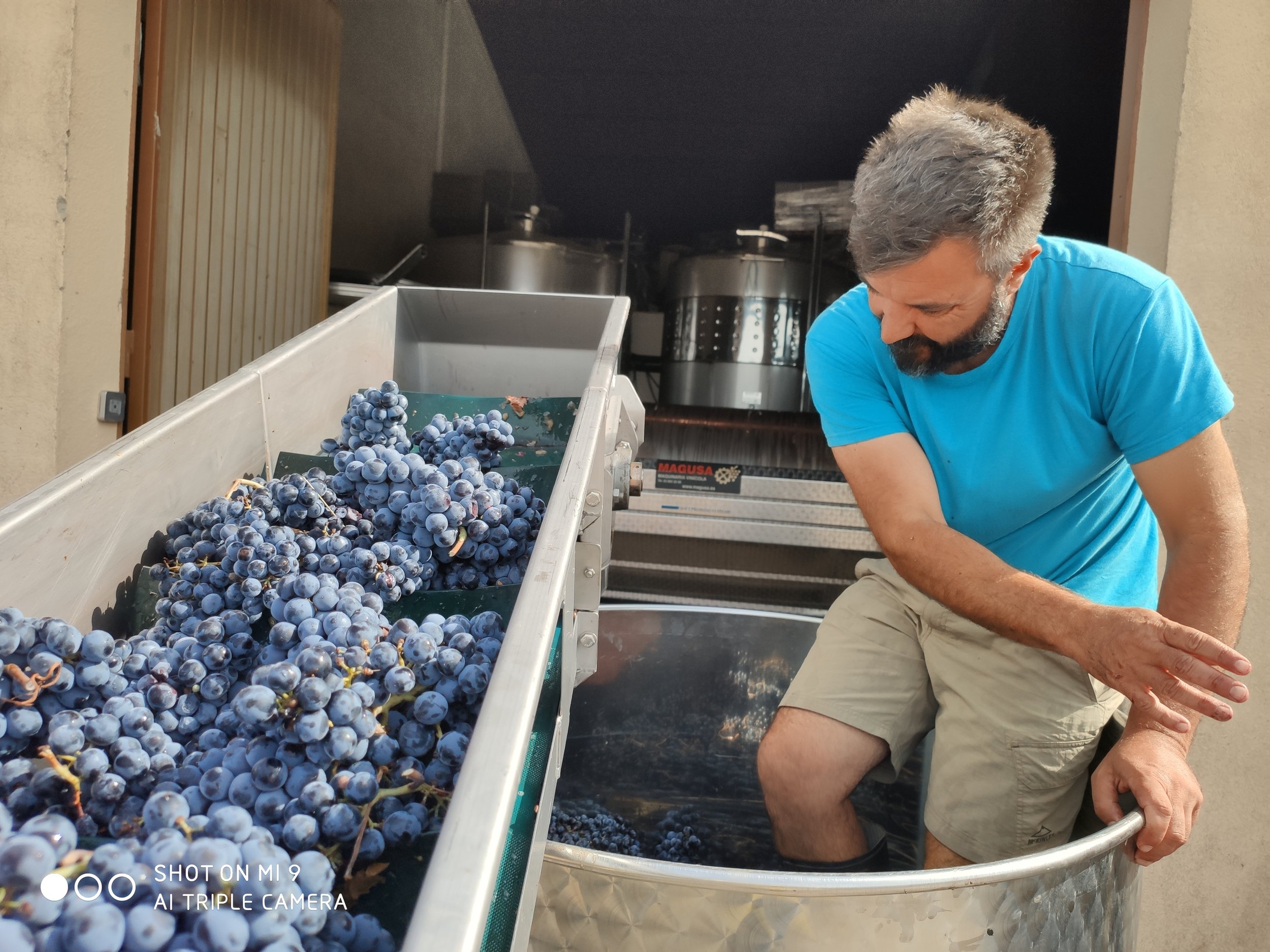 best wines sitges