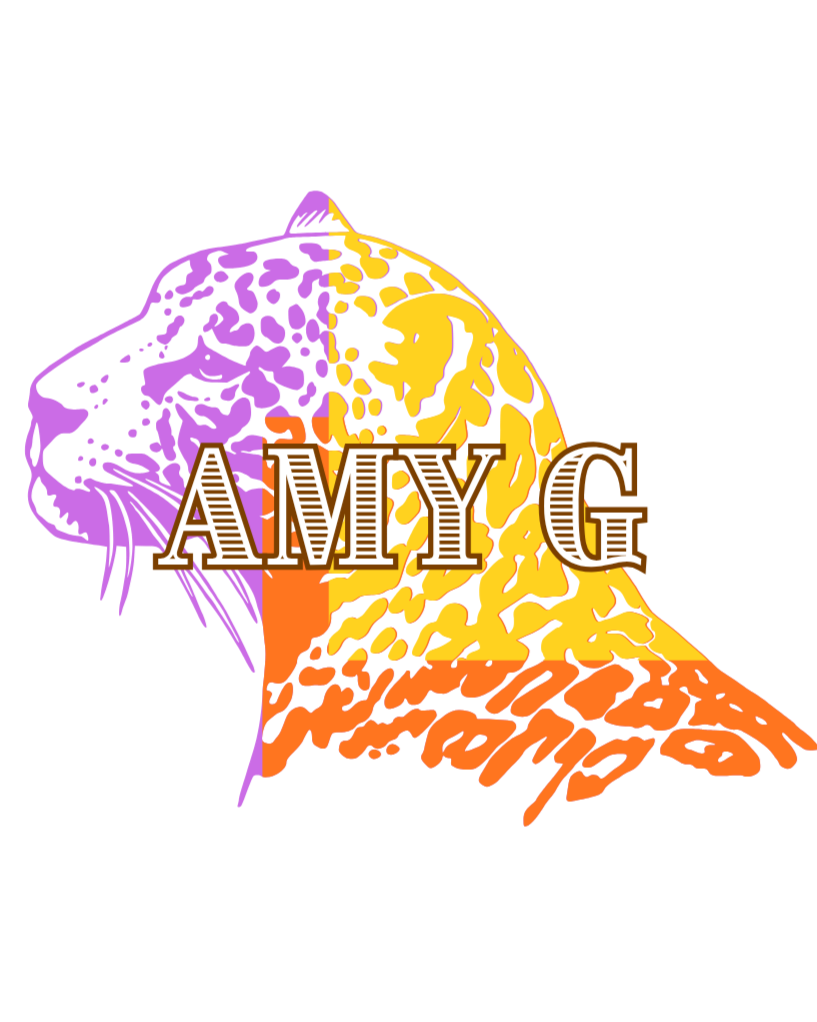 AMY G CONSULTING