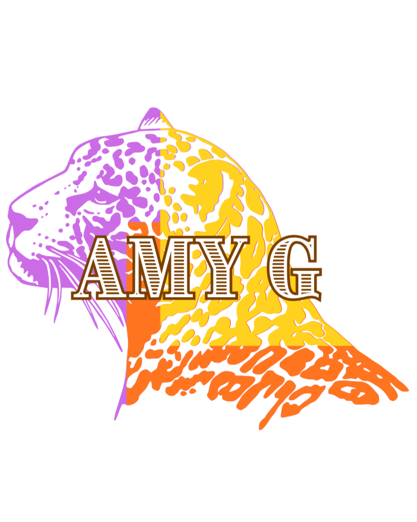 AMY G CONSULTING