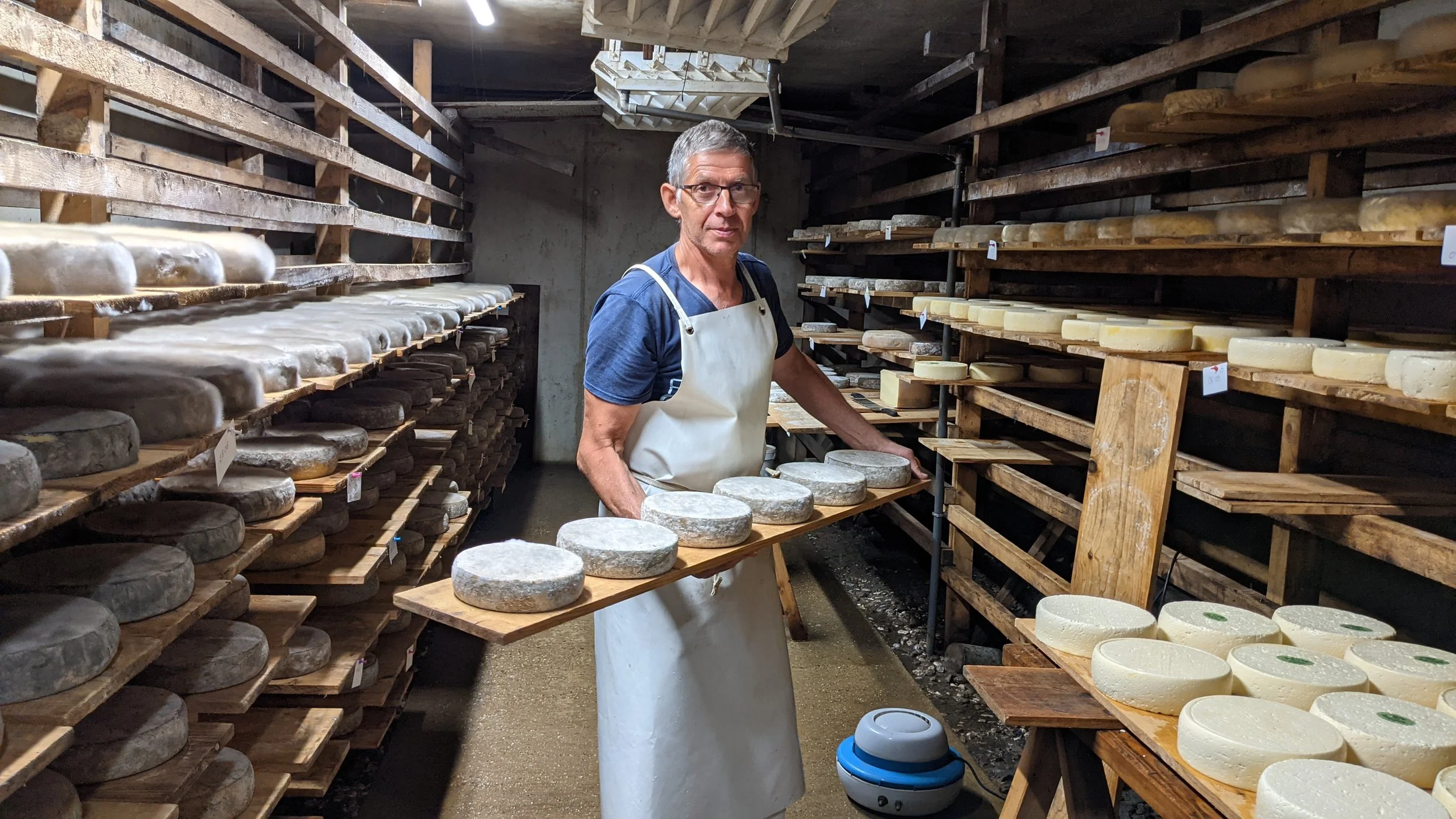 Un homme avec des lunettes porte un tablier blanc dans une cave à fromage, entouré de fromages en affinage reposant sur des étagères en bois.