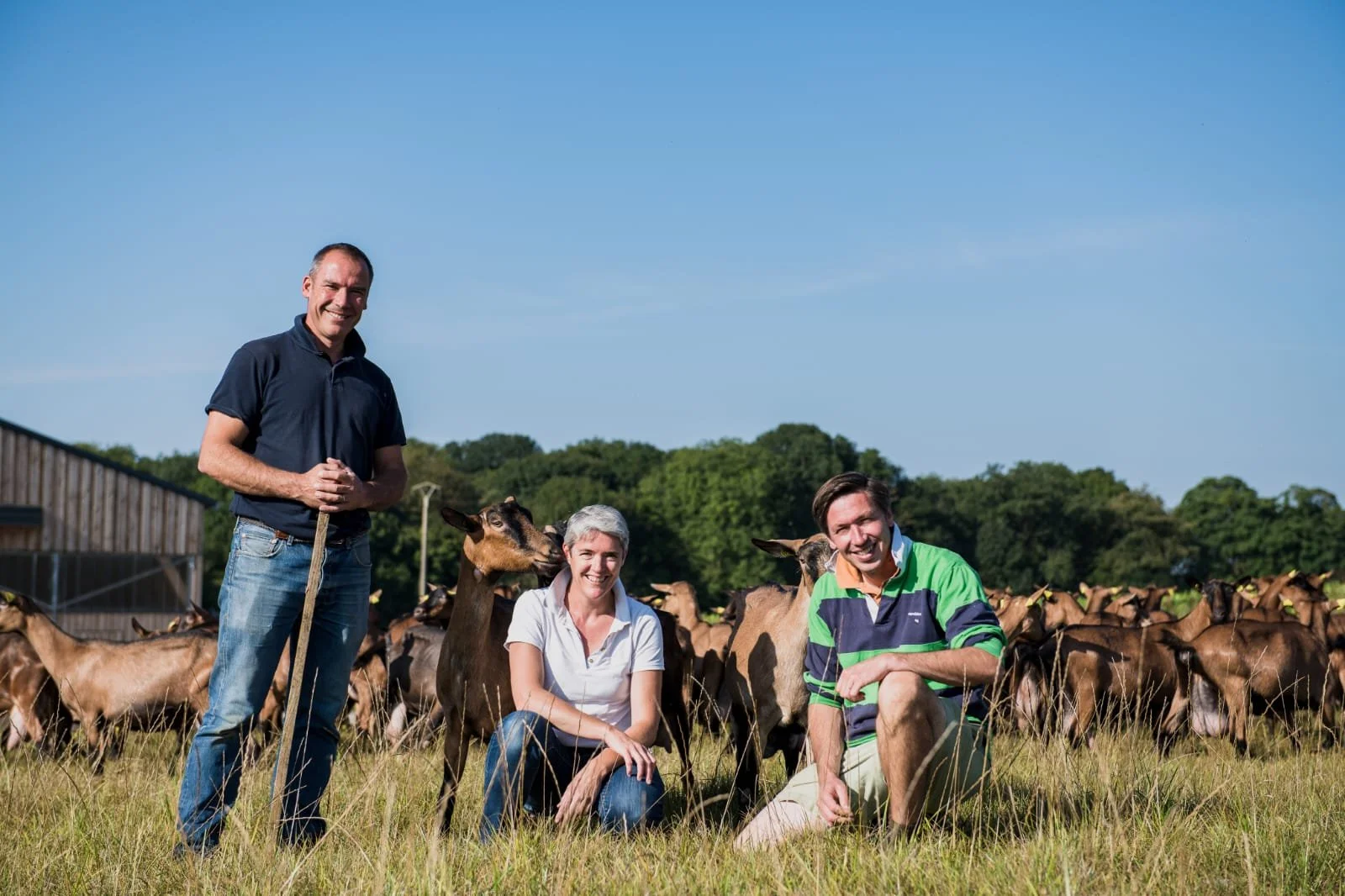 3 producteurs de fromage prennent la pose dans une prairie avec des vaches dans le fond, le ciel est bleu