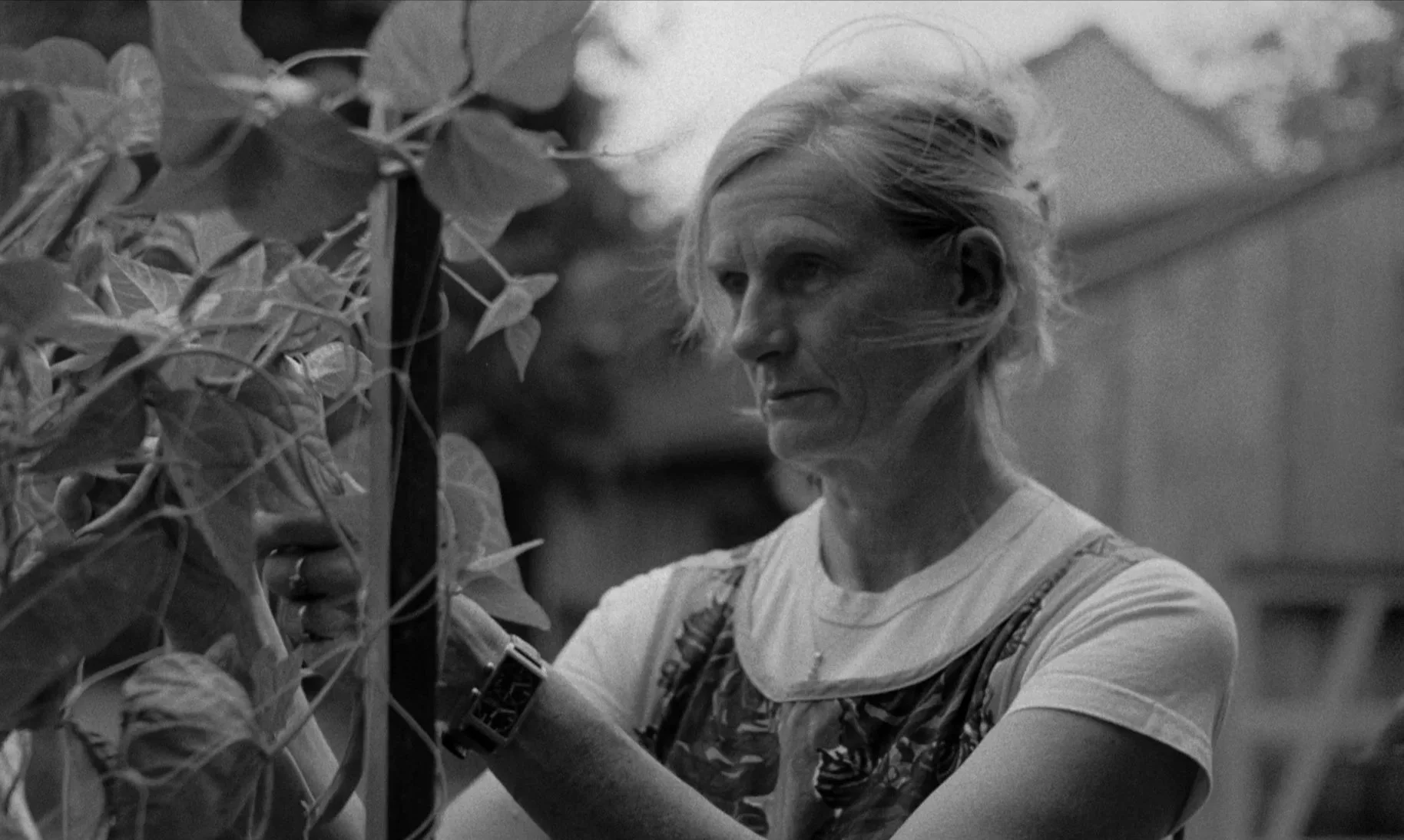 Letopis Simona Rybáková (dir. Kristina Kůlová 2024)