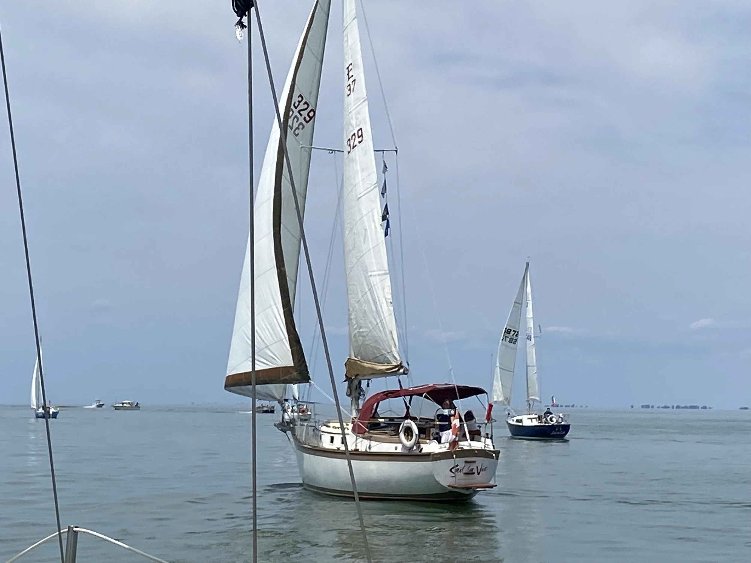 IMG_3239.jpeg