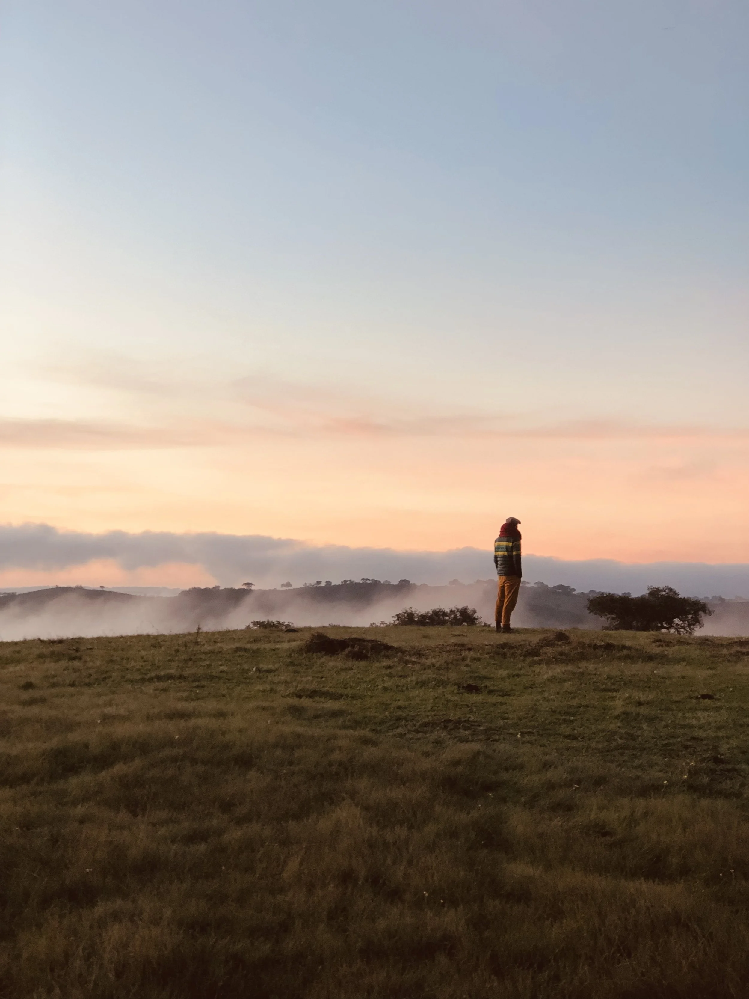 A person wearing a striped jacket and pants, standing on a grassy hill at sunset with fog and distant trees in the background.