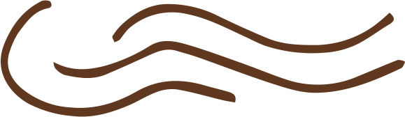 Drawing of four brown wavy lines.
