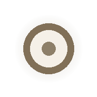 Close-up of a brown CD with a white center