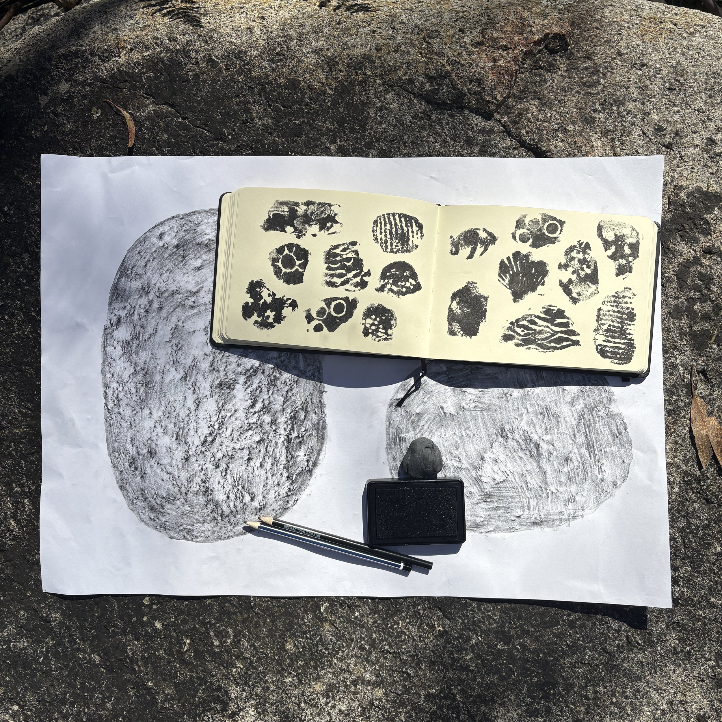 Texture Collecting
