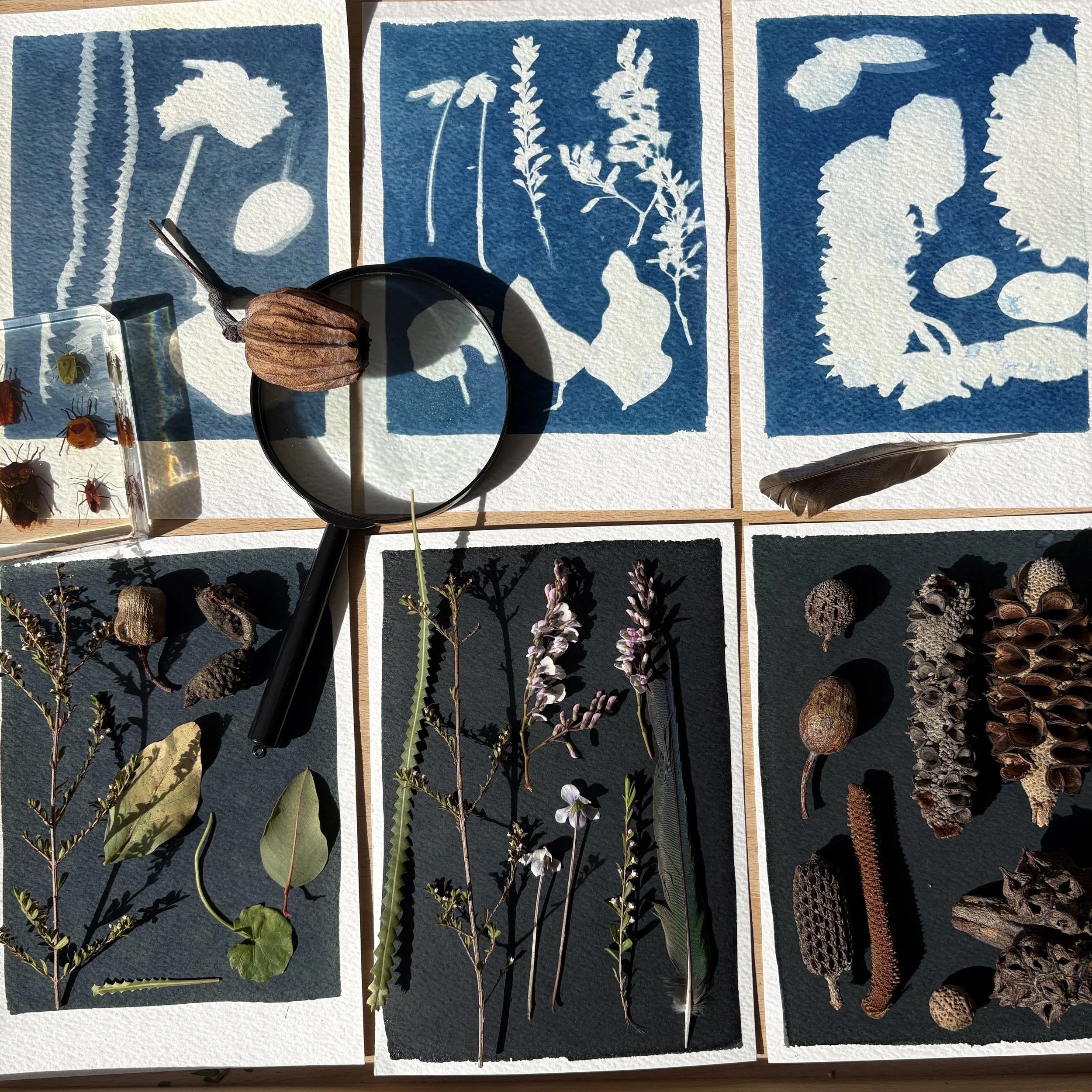 Bushcombing