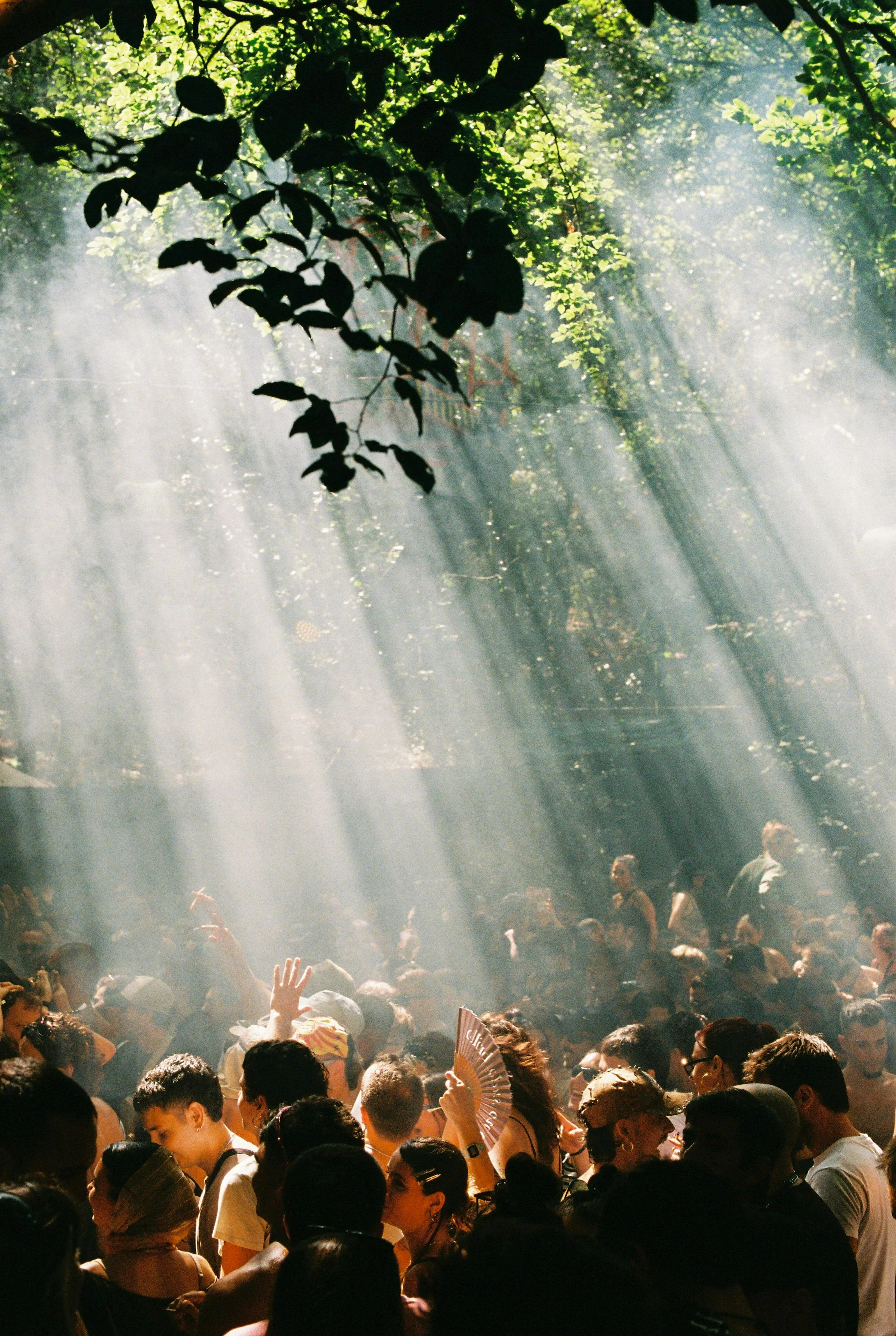 A large crowd of people gathered outdoors, with sunlight streaming through trees, creating rays of light. Many people are seen holding fans, and some are raising hands or wearing hats. The scene appears lively and festive.