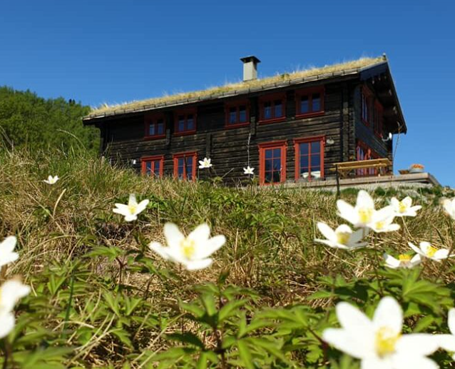 Kråkeroe-staulen.