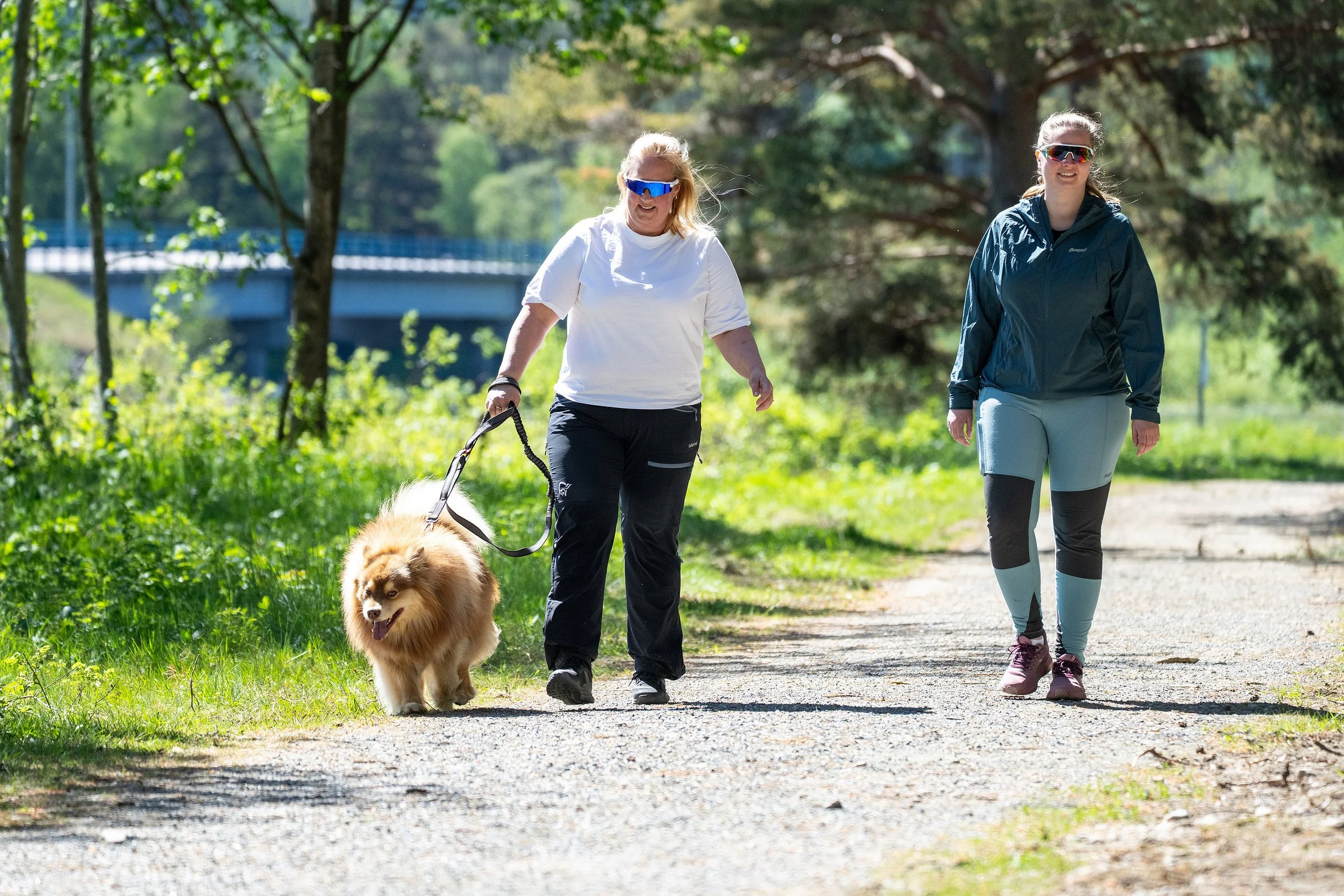 Bilde av to personer som går tur med hunden på grusvei