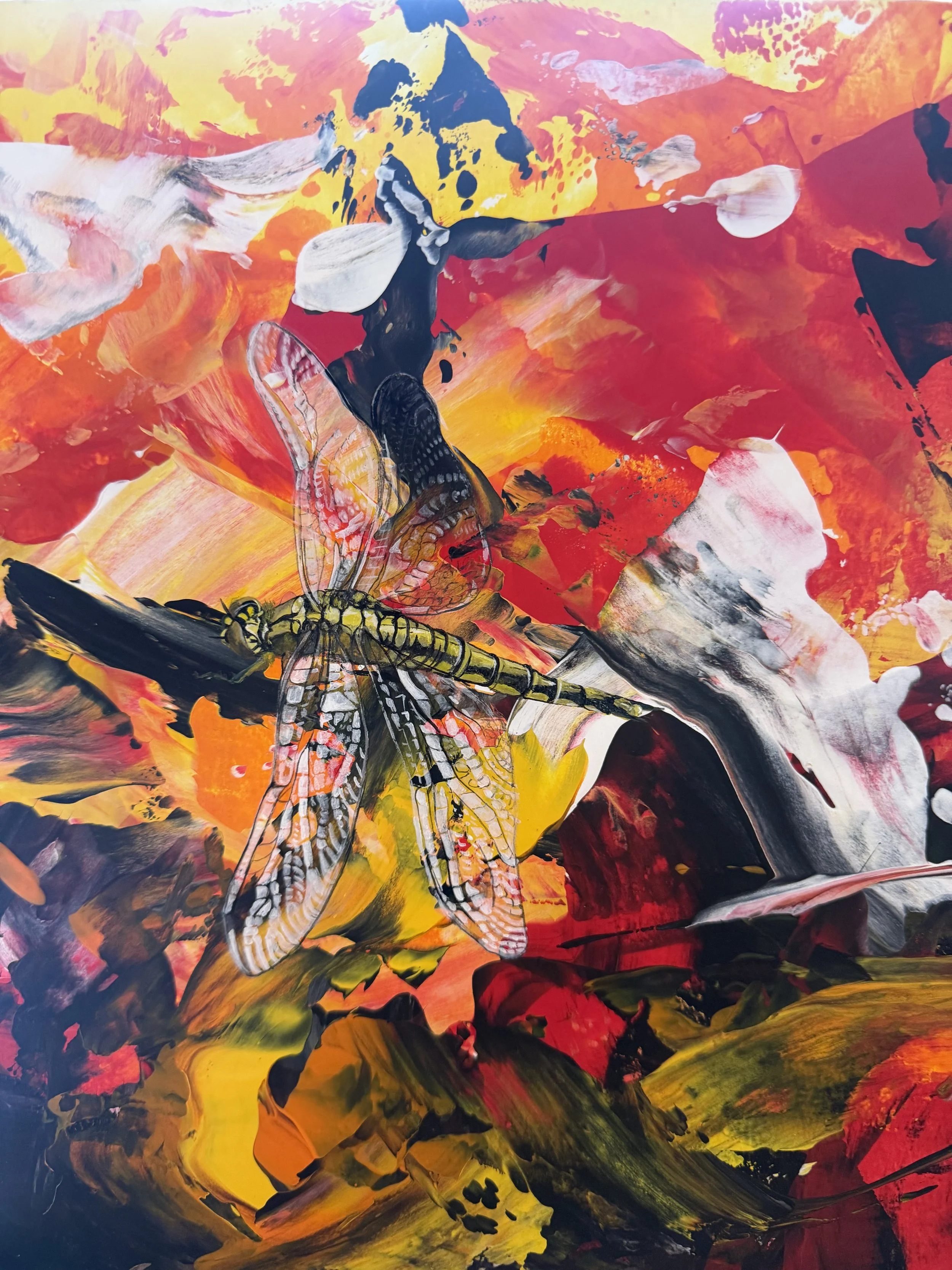Abstrakte Malerei mit lebendigen Farben, besonders Rot, Gelb, Schwarz und Weiß, und einer detailreichen Libelle im Zentrum.