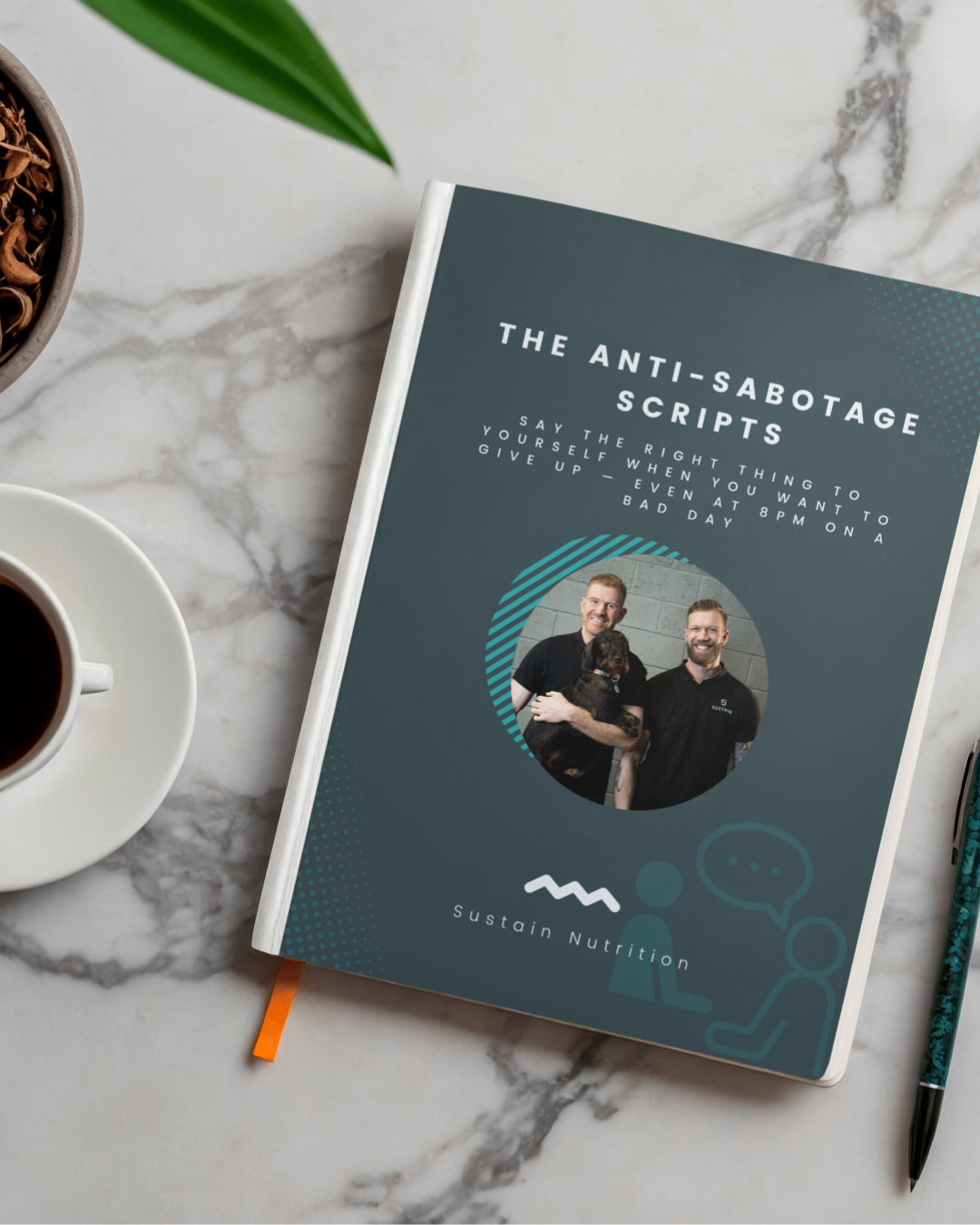 The Anti-Sabotage Scripts Pack