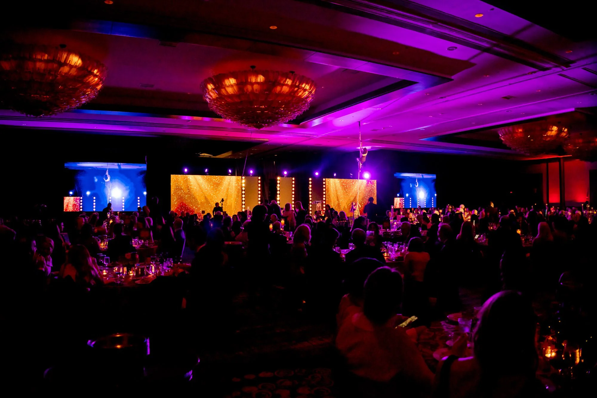 101682350-HEARTBALL2025-518.jpg