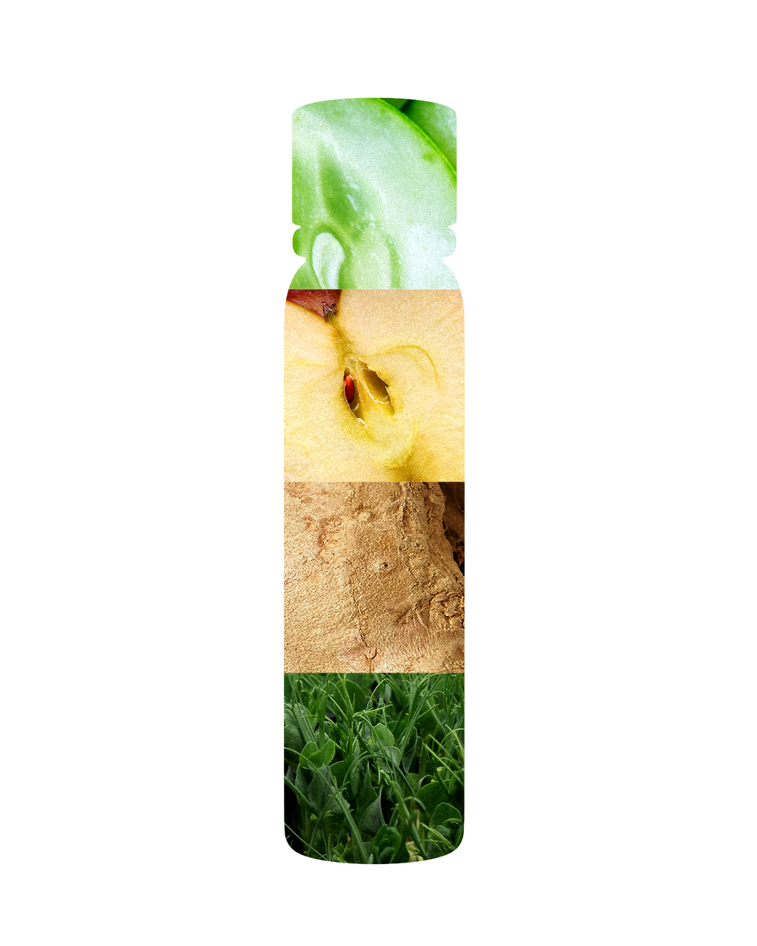 Post-08.2.png