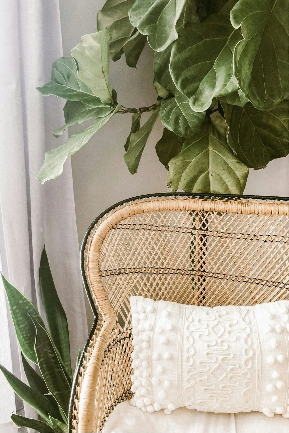 Close-up of a wicker chair with a textured white pillow, surrounded by large green leafy houseplants near a white wall and curtain.