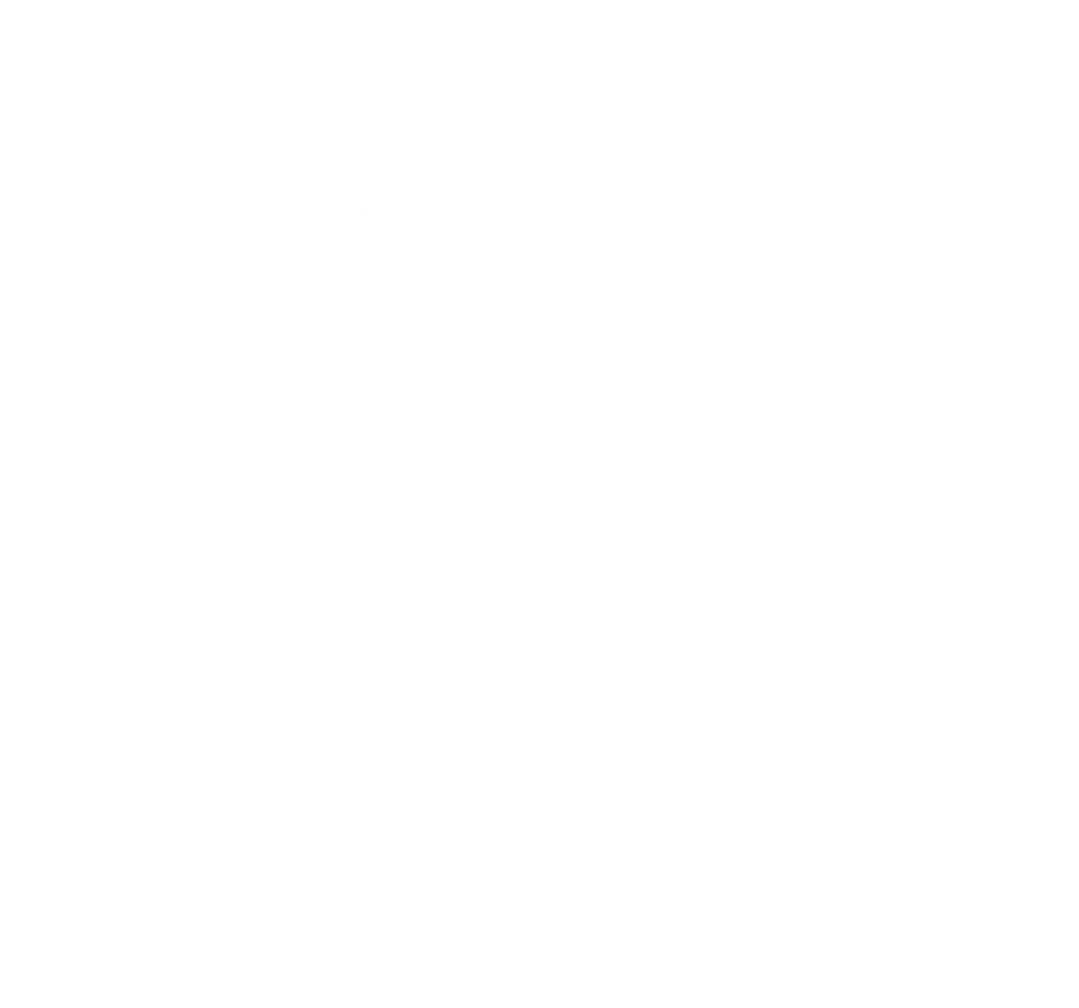 ParkShield