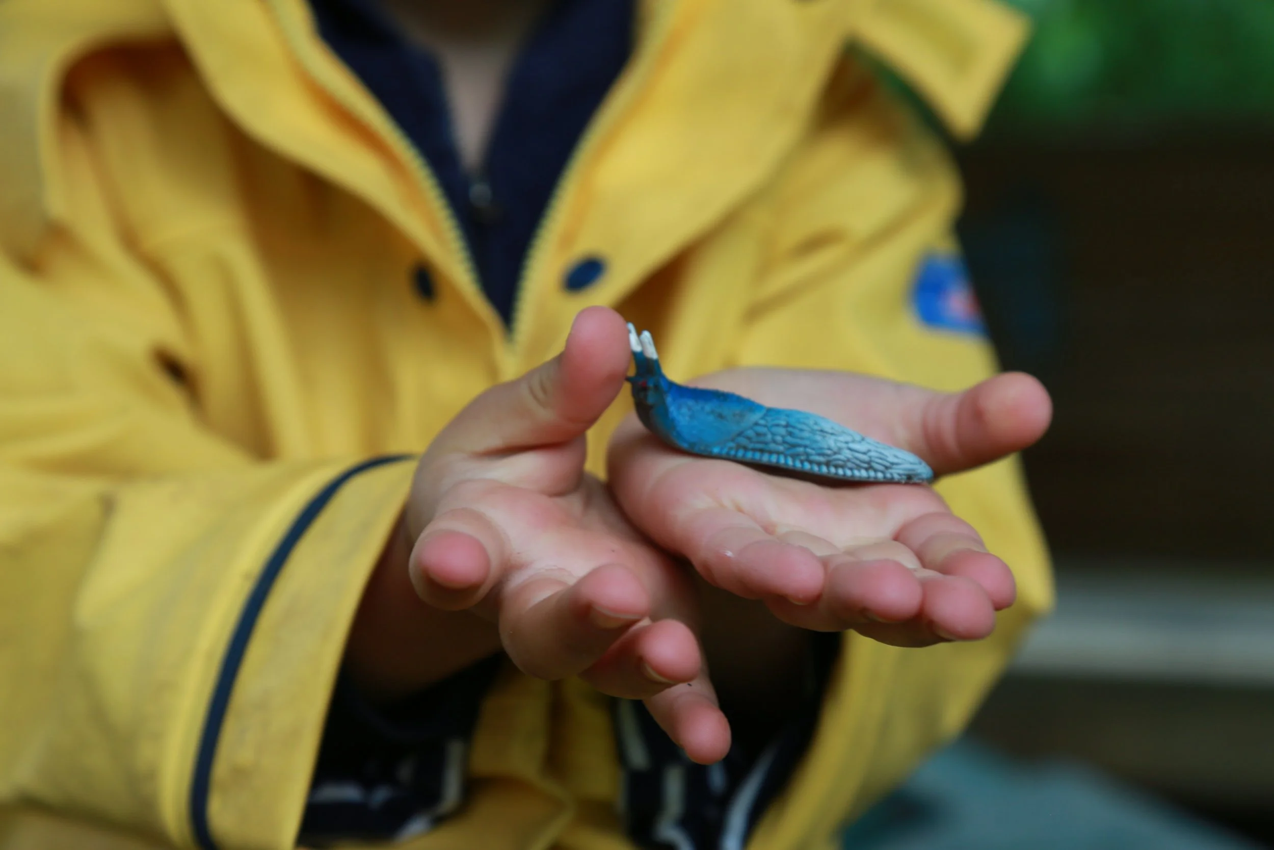 A person in a yellow jacket holding a small blue lizard.