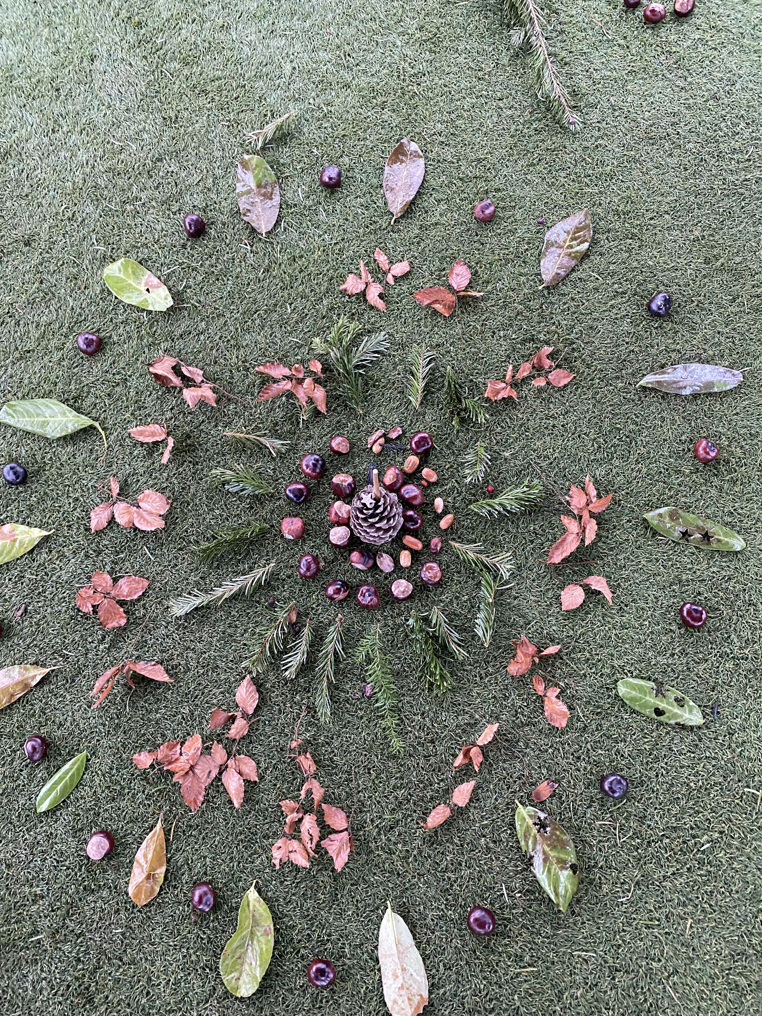 Arrangement of pinecones, leaves, berries, and other natural elements on grass