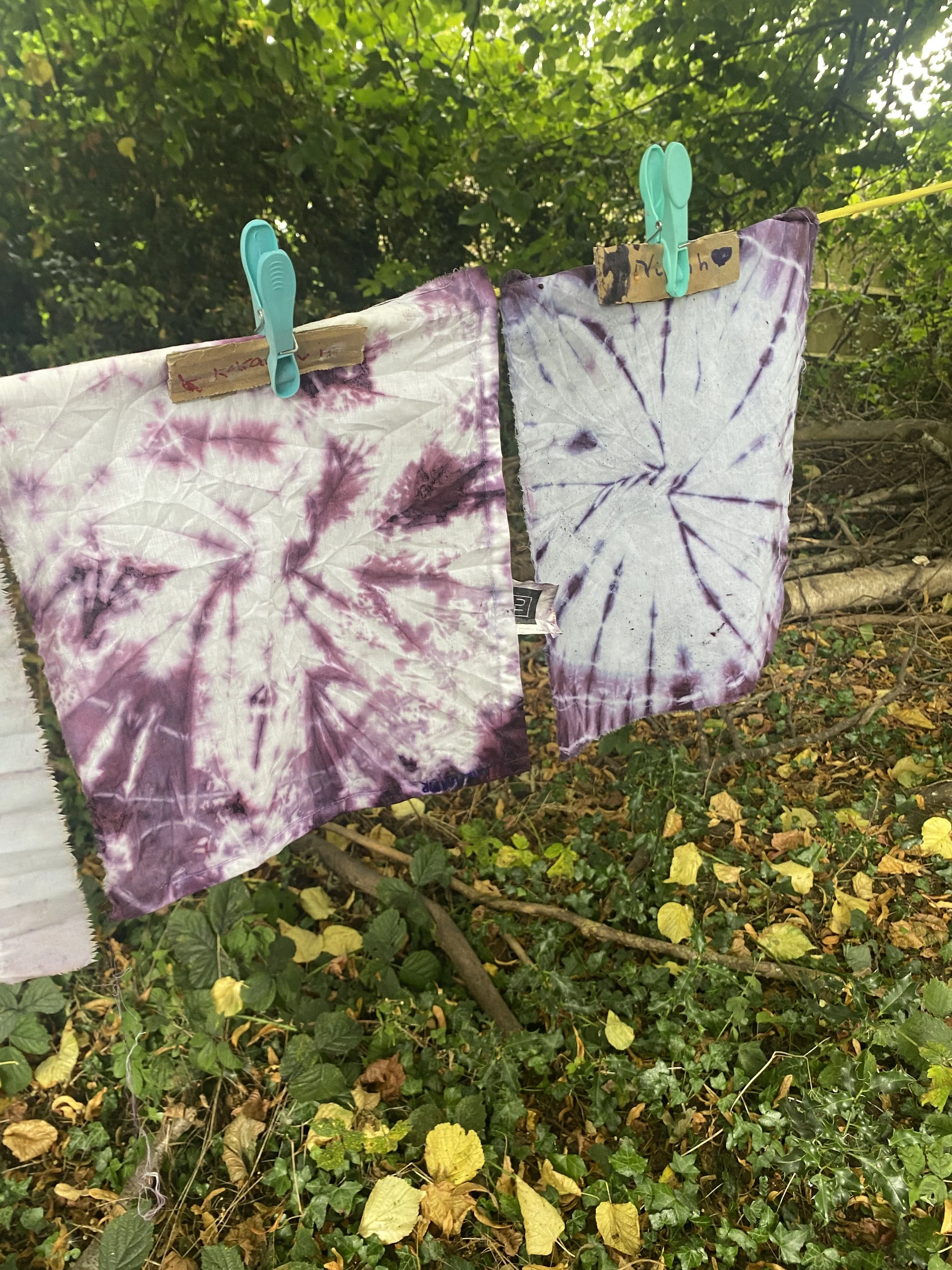 Clothes and paper hang on a clothesline with clothespins, surrounded by green and yellow foliage.