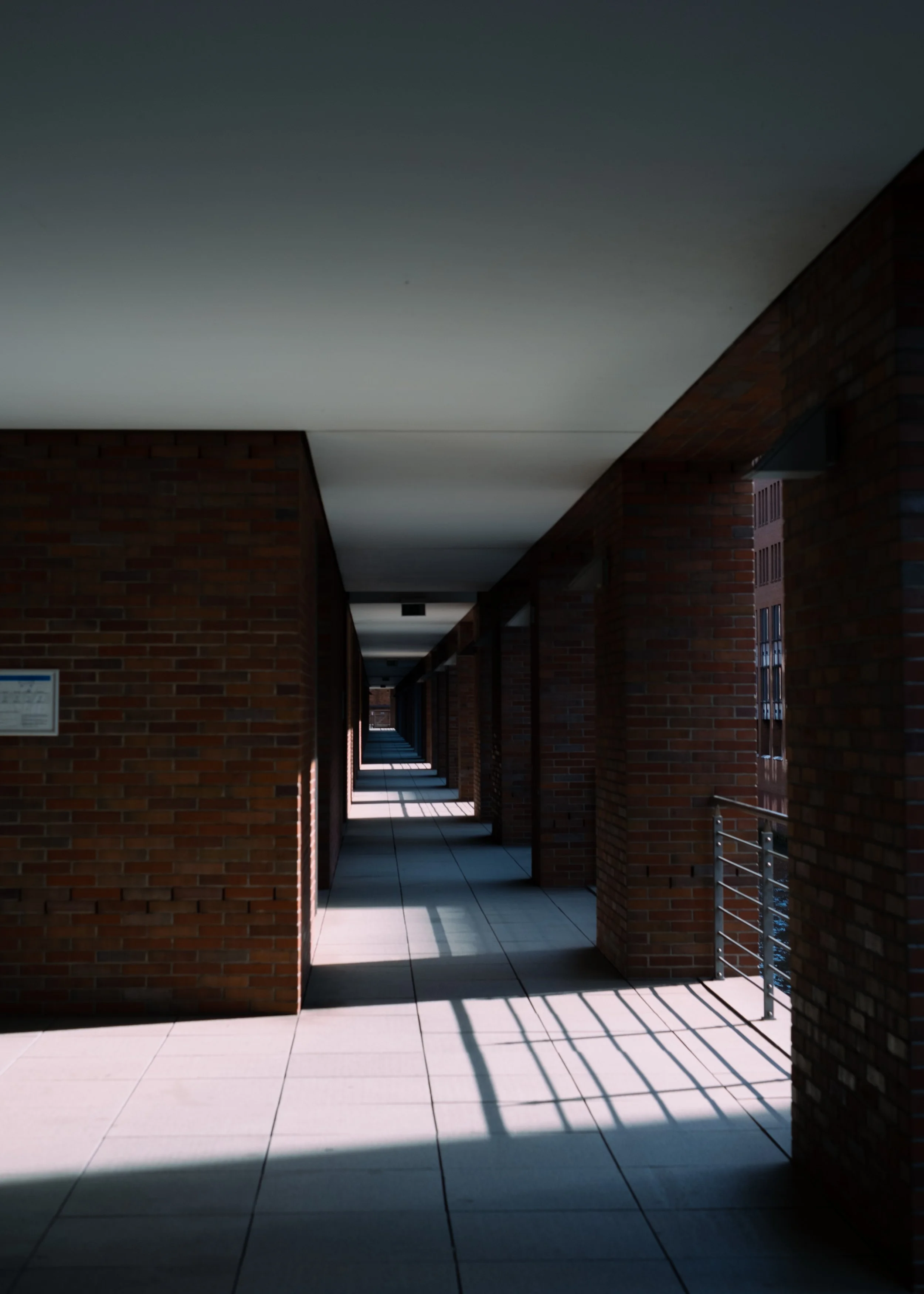 DSCF2617.jpg