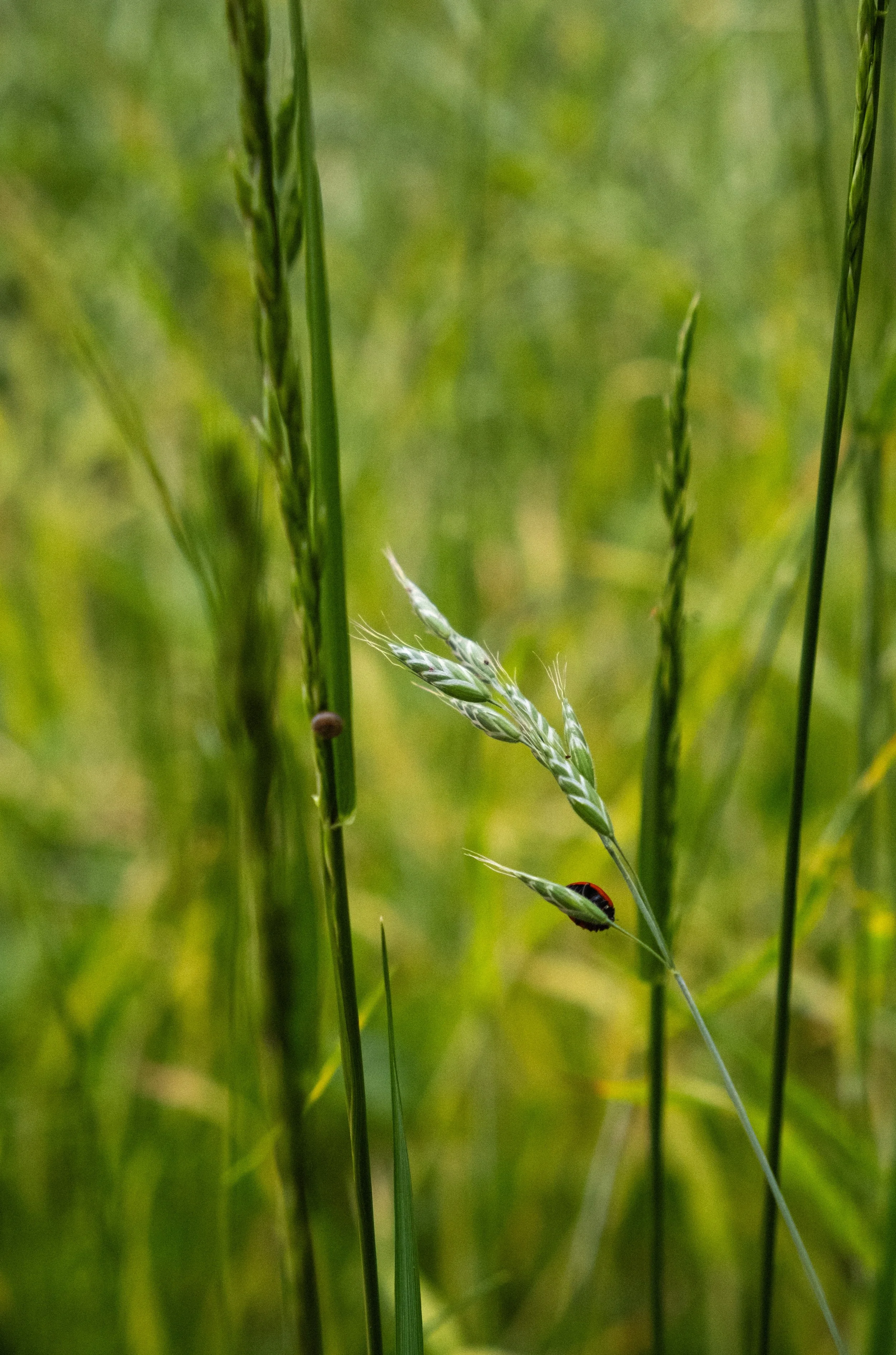 DSCF124955 - Kopie.jpg