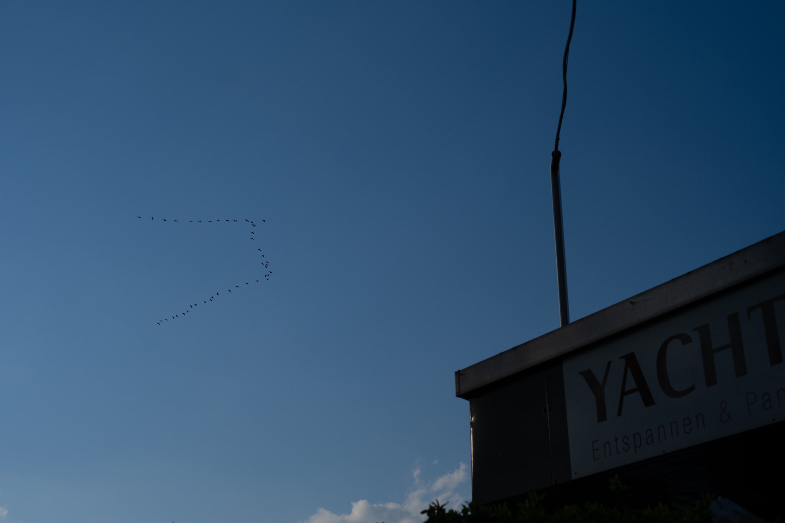 DSCF3959.jpg