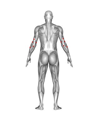 Elbows