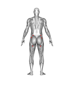 Lower Back