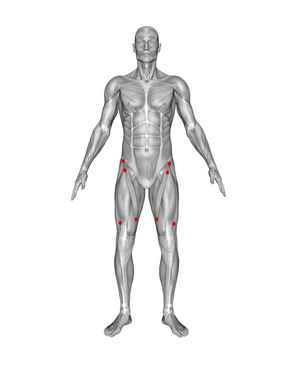 Quads