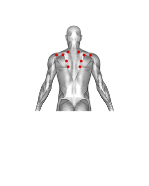 Upper Back
