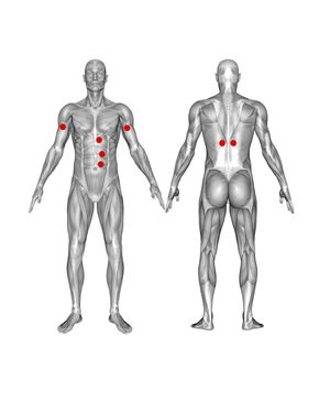 Organ Flow
