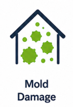 Illustration of a house with green mold spores inside, labeled 'Mold Damage'.