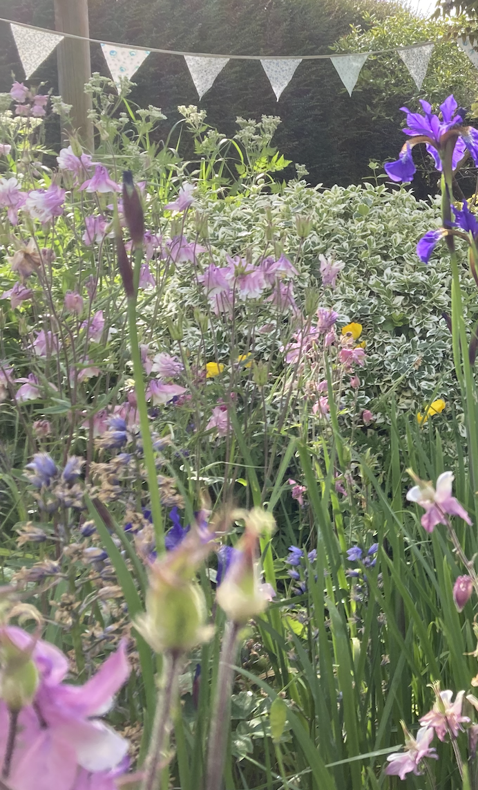 A lush garden scene with various pink, purple, and yellow flowers, green foliage, and string banners hanging in the background.