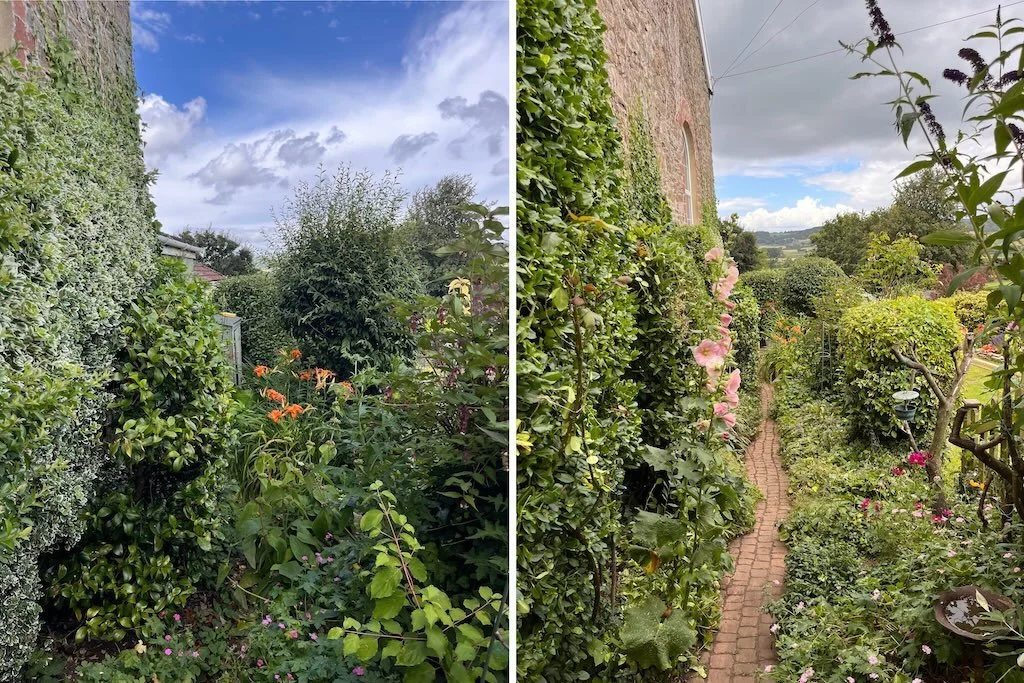 Enjoyed this project.
A refresh to a cobbled path garden - keeping a level of wild garden to the space.

#gardener #backwellsomerset #northsomerset #gardenmaintenance