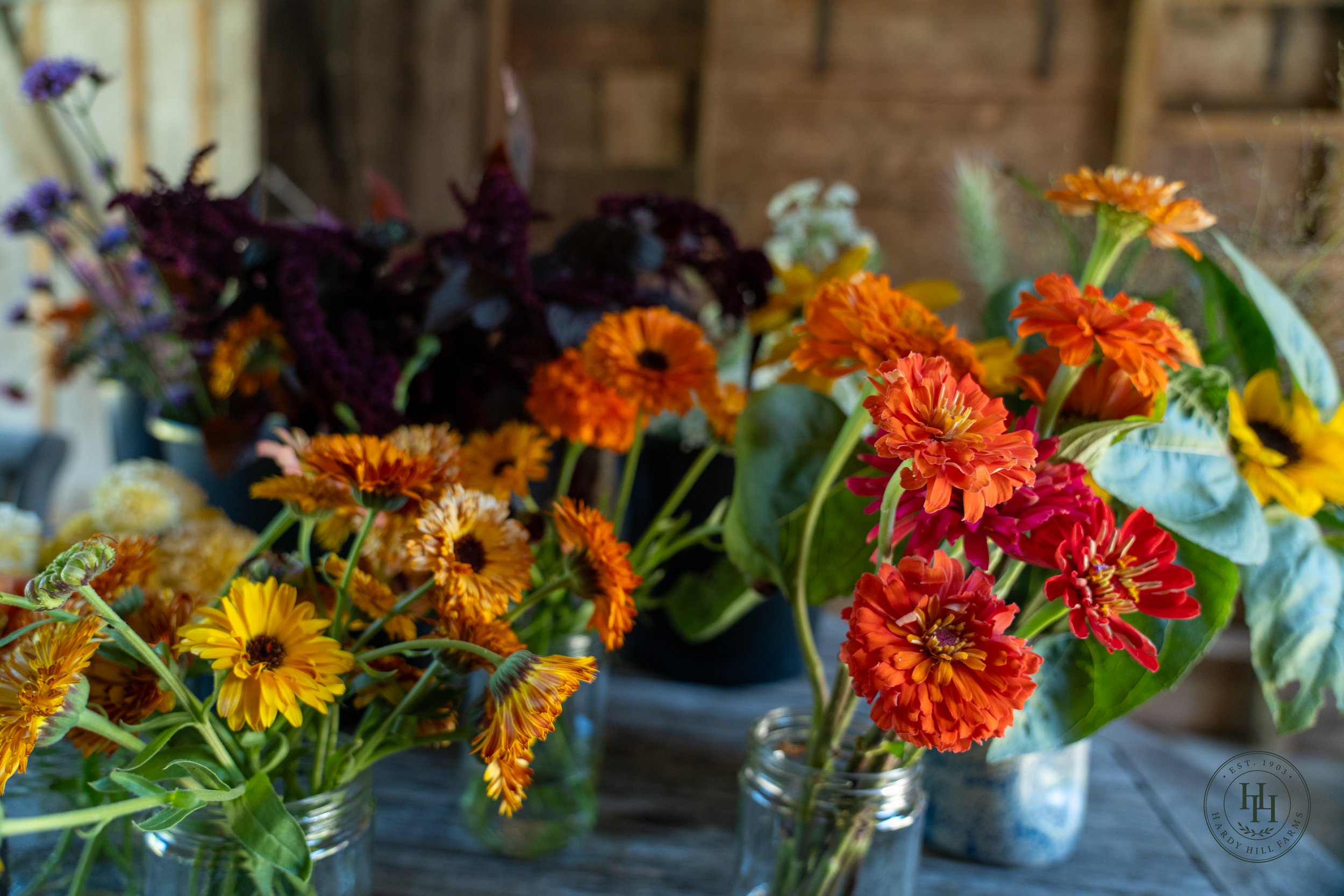 A variety of colorful flowers in glass jars on a dark wooden surface, with a wooden wall in the background.