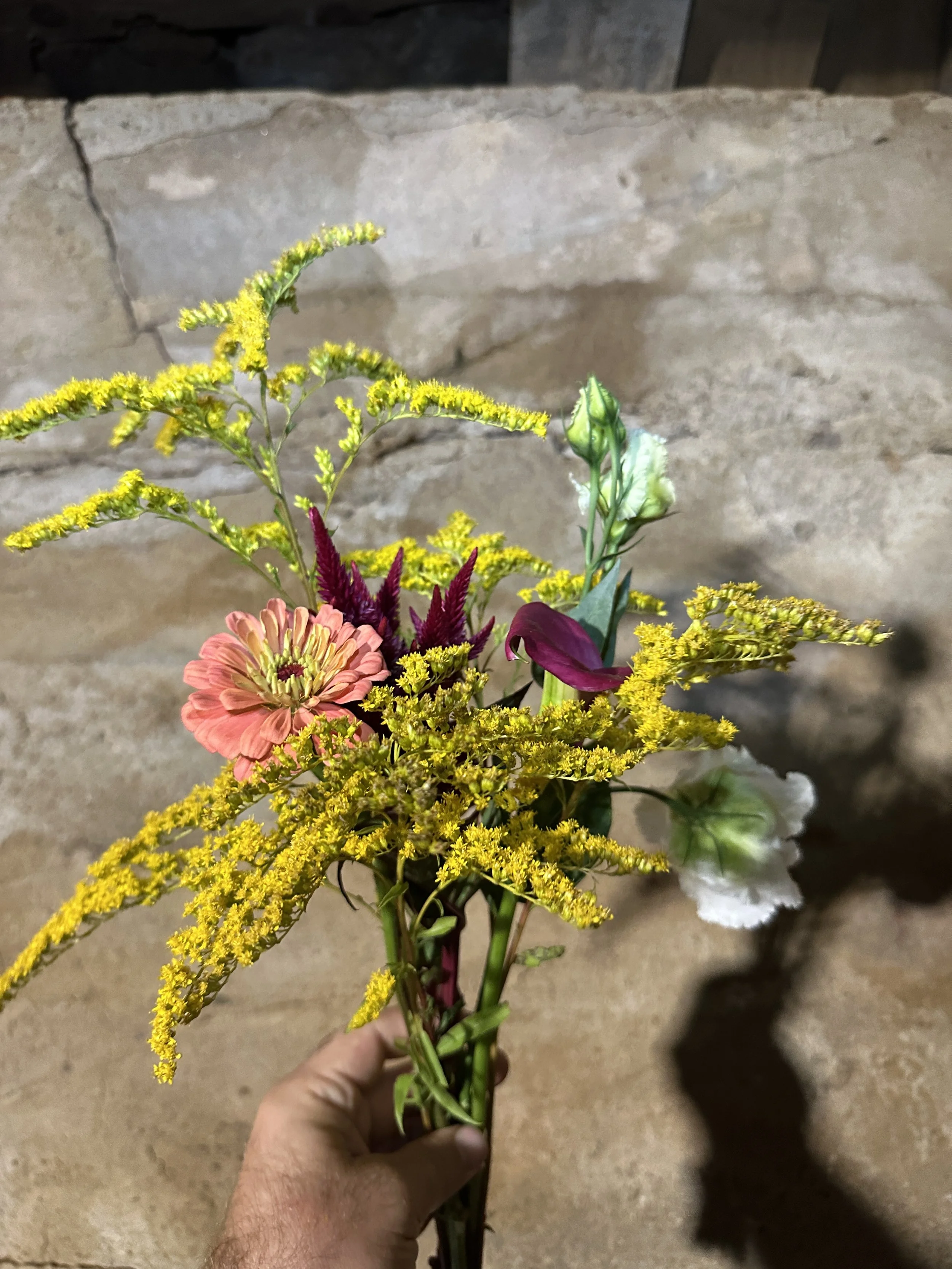 Farmer's Posy - 8 stems