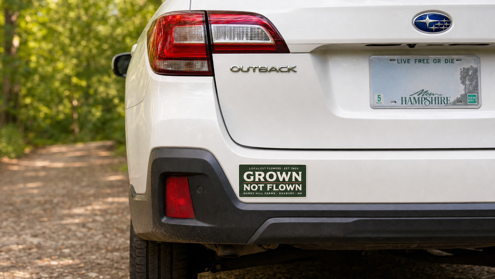Grown Not Flown Bumper Sticker