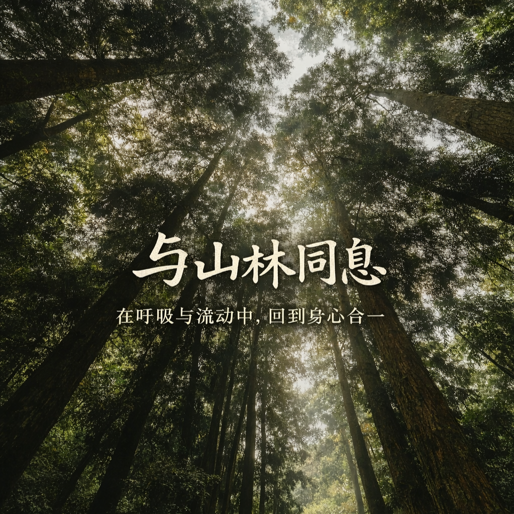 Qingcheng Mountain ZEN•GA Retreat 
