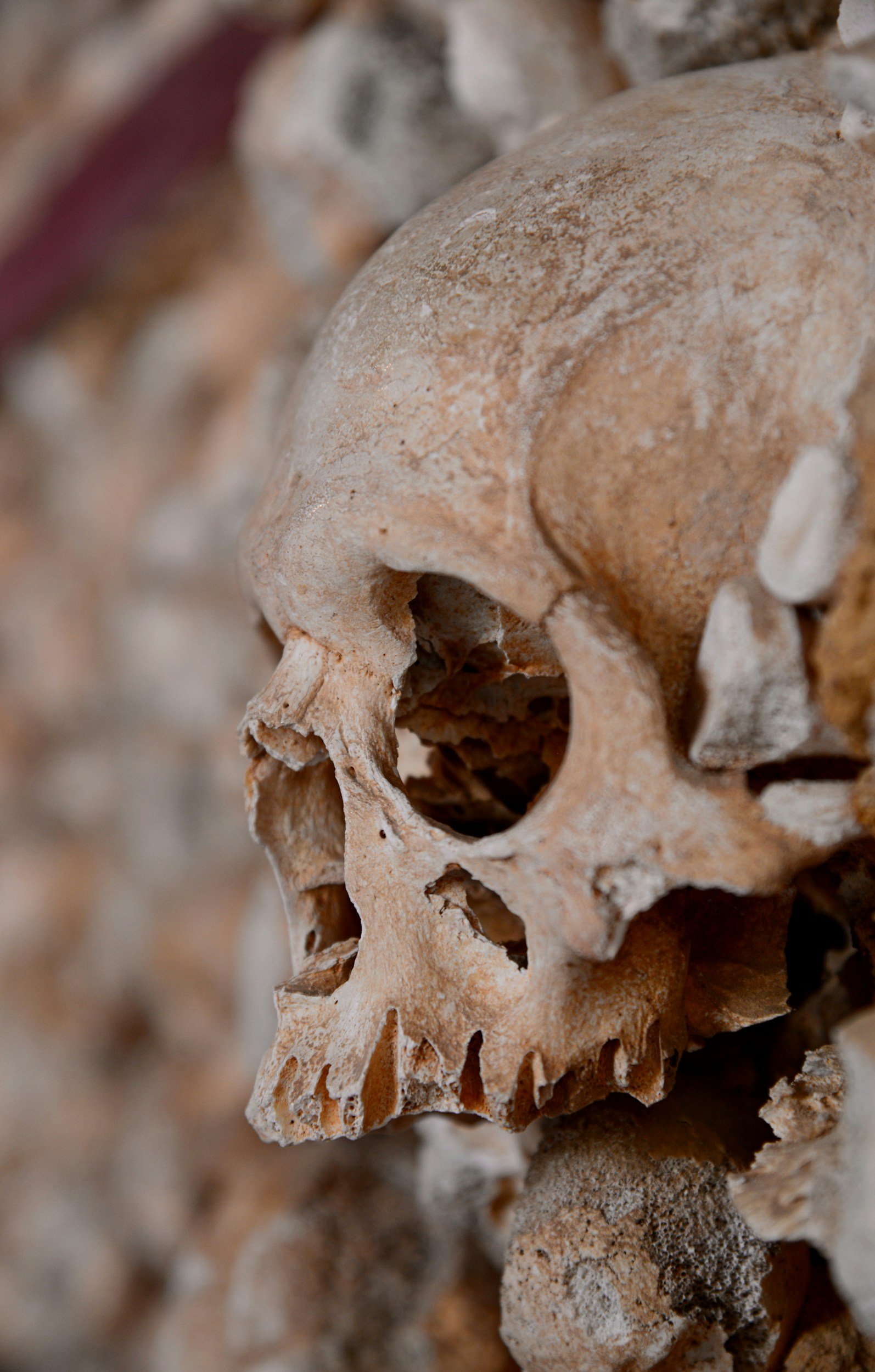 Society of Antiquaries Conference: Relics: Their Life & Afterlife