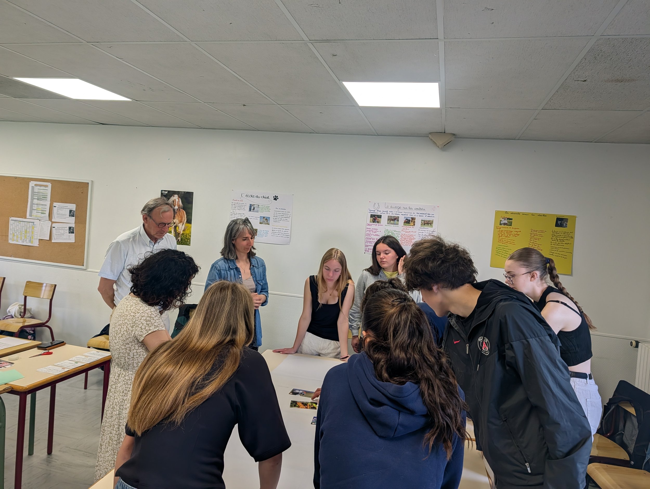 Fresque de la biodiversité : atelier collaboratif et participatif à Vitré en Ille-et-Vilaine.
